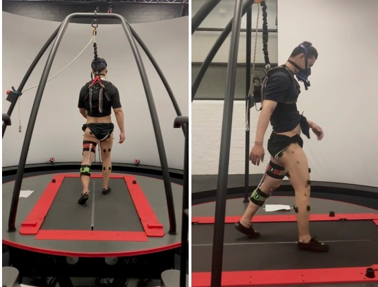Exploring individual gait adaptations to walking with kinematic constraints