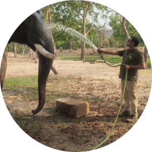 Go to the profile of Dr. Nitin Gupta