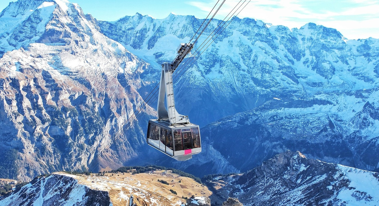 The Swiss Young Immunologists Society – Empowering the next generation of immunologists