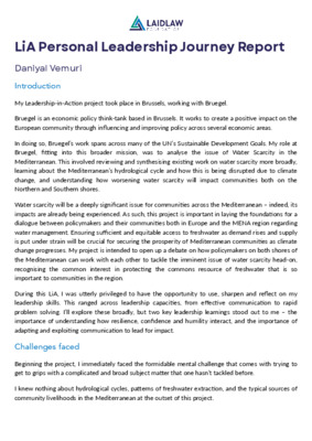 DV LiA Personal Leadership Journey Report