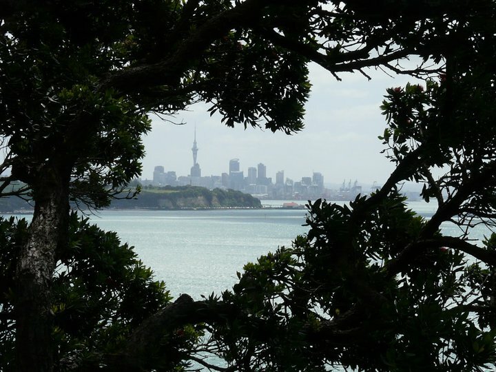 The association between mental health and biodiversity