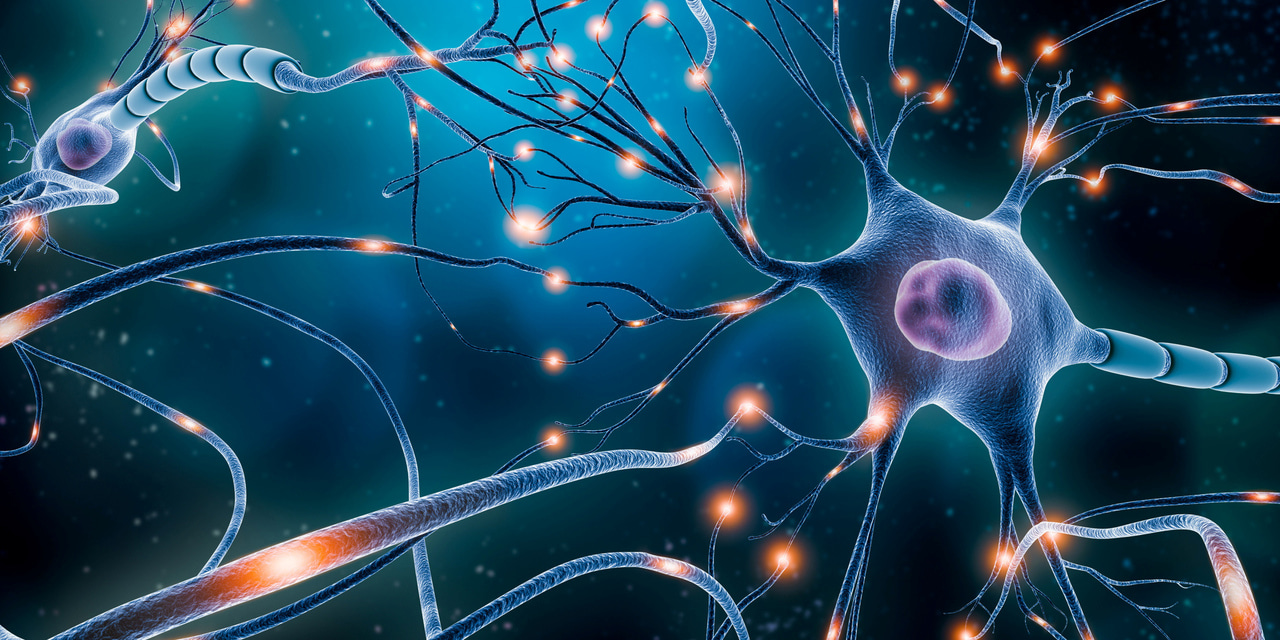 Top 100 in Neuroscience | Scientific Reports 