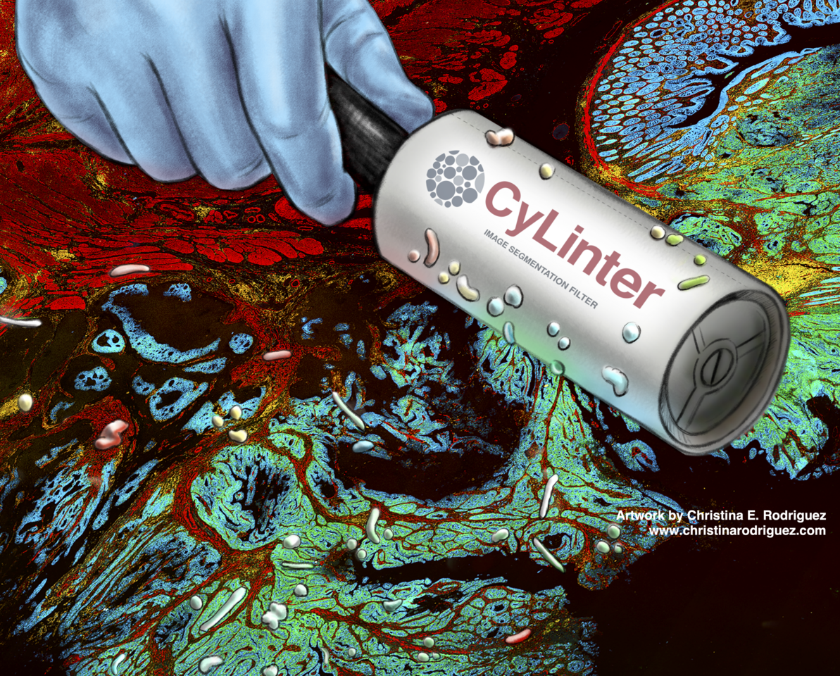 Accelerating discovery in spatial biology through quality control with CyLinter 