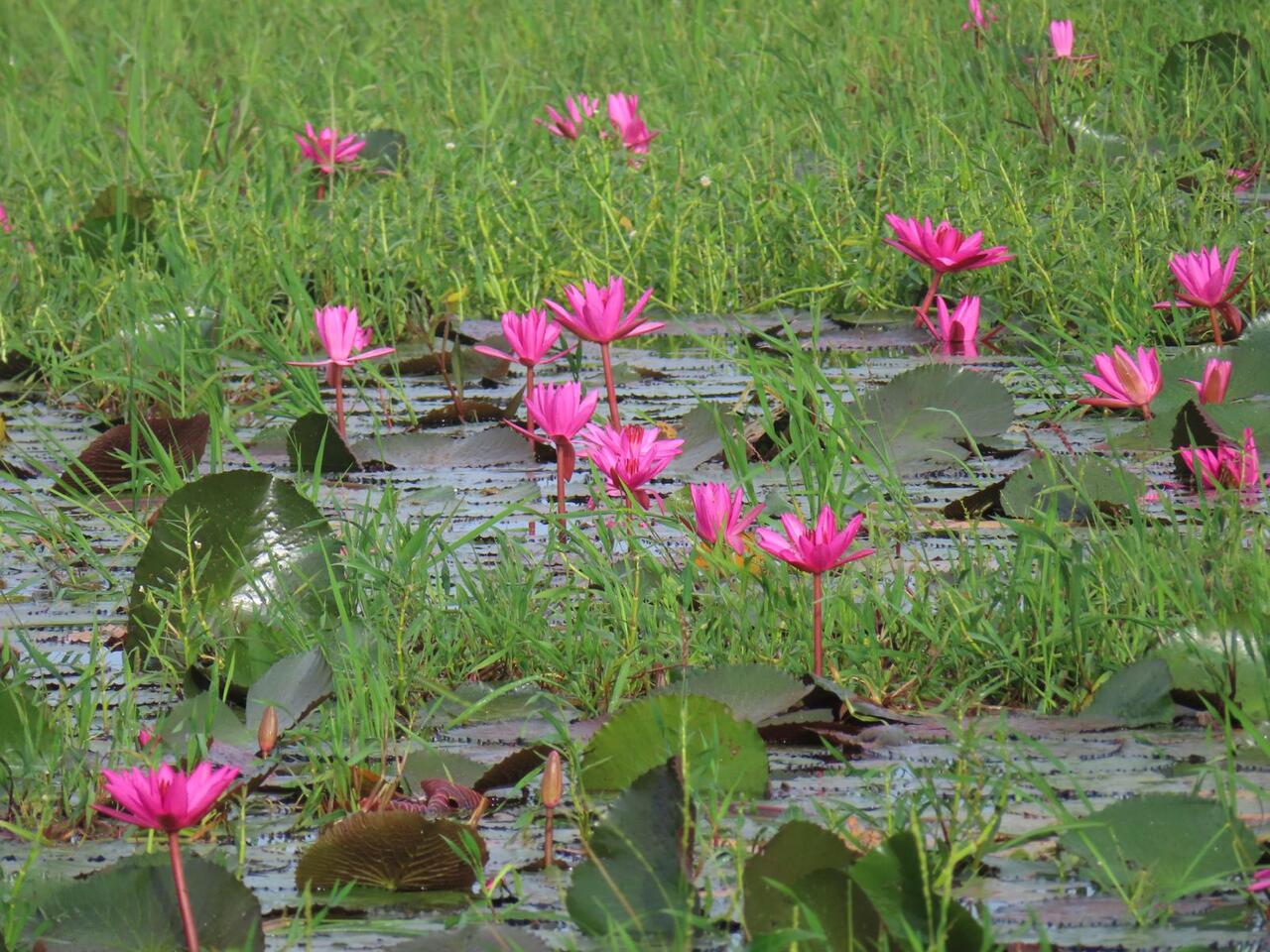 CraftHER by SWARA 2025 LIA Week 4 Reflections