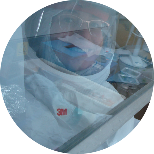 Go to the profile of Amal Fahmi