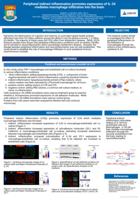 Peripheral indirect inflammation promotes expression of IL-34 mediates macrophage infiltration into the brain