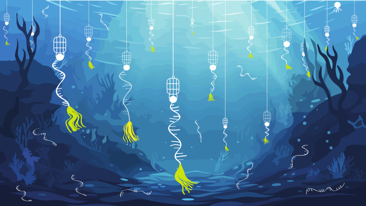 CapTrap-Seq: A platform-agnostic and quantitative approach for high-fidelity full-length RNA sequencing