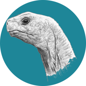 Go to the profile of Rich Baxter