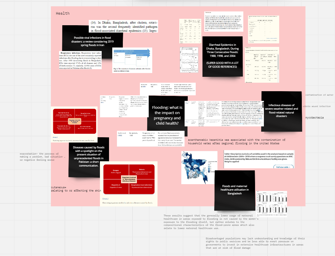Impacts of flooding on health 