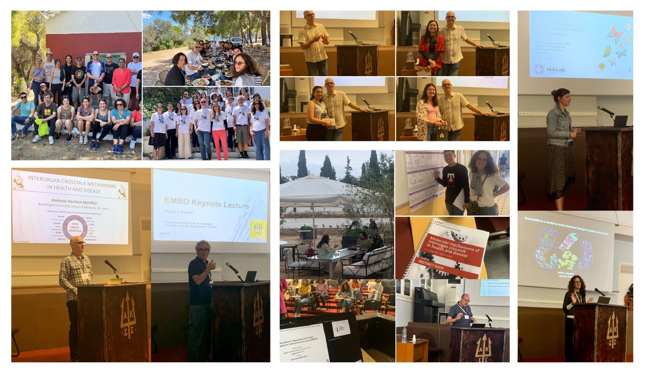 Defining and discussing state-of-the-art concepts in organismal physiology