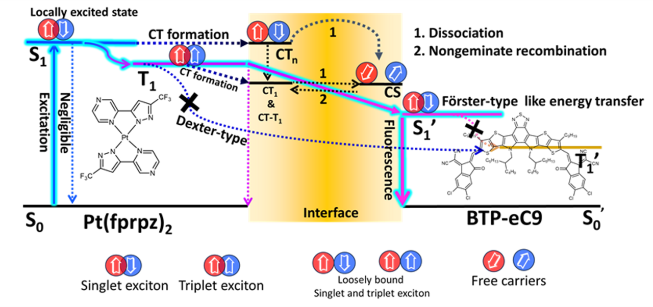 High-performance near-infrared OLEDs maximized at 925 nm and 1022 nm through interfacial energy transfer
