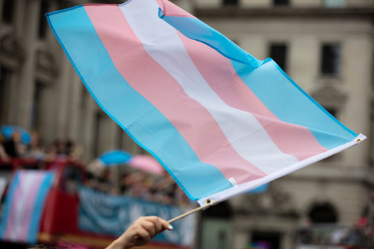 Behind the Paper: Confronting Transphobia as a Public Health Crisis in the UK