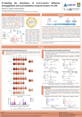 Evaluating the abundance of cross-reactive influenza hemagglutinin and neuraminidase-targeted memory B cells