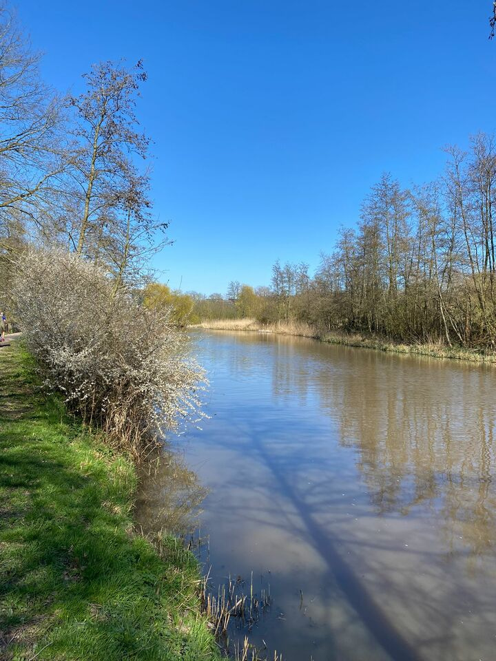 Nitrogen cascading through inland waters