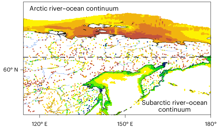 River supply, ocean burial and the contemporary carbon cycle