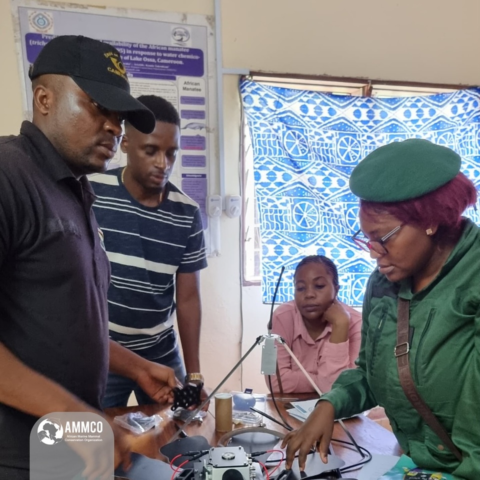 Installation d'un système de surveillance intelligent et connecté dans une Aire Protégée au Cameroun