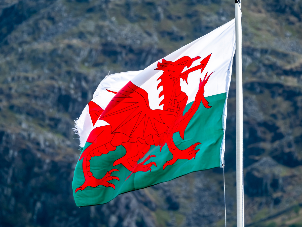 Rhwydwaith Fferylliaeth Cymraeg launched!