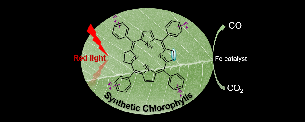 Synthetic chlorophylls for red-light-driven CO2 reduction