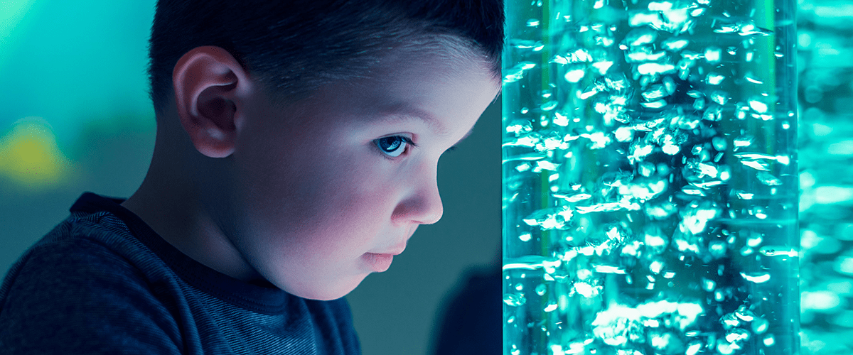 Unveiling the Local Area SEND Inspection Scene: Navigating National Standards, Quality, and Preparation for Inspections