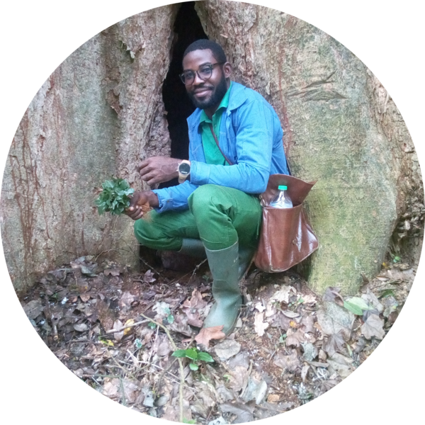 Go to the profile of DINGOME MAURICE