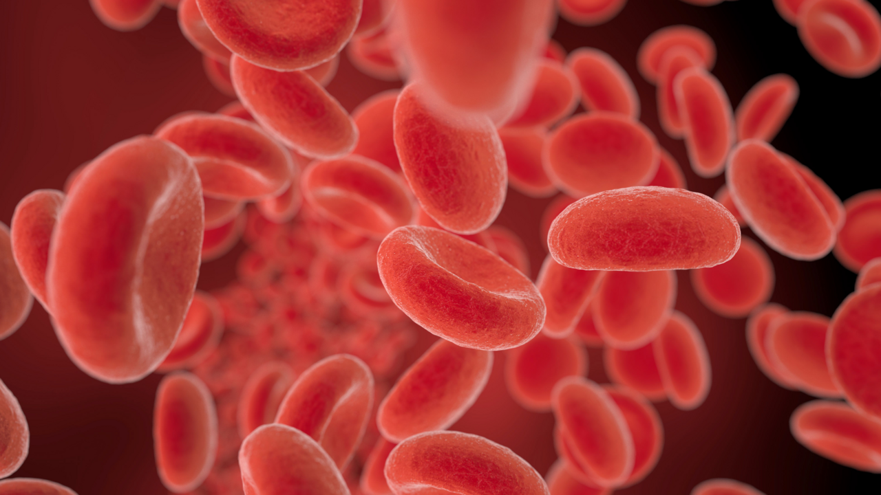 A stride towards improving hemodialysis for heparin intolerant patients 