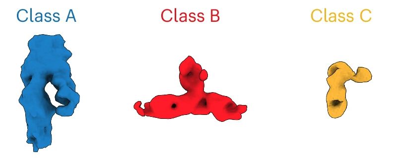 Unveiling the Hidden Role of mRNA: Discovering RNA Switches in Human Gene Regulation