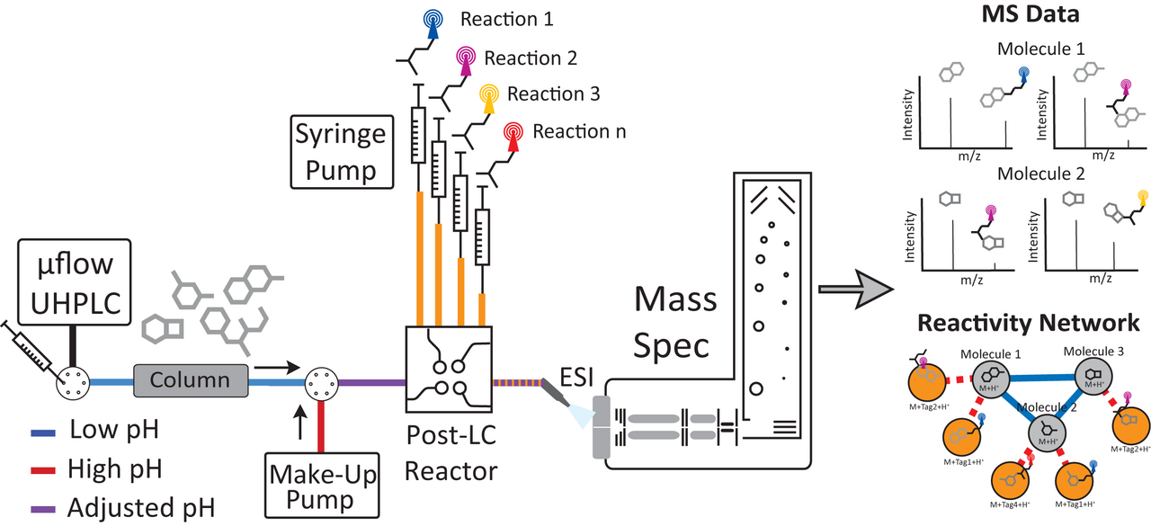 Expanding Non-Targeted Metabolomics with Multiplexed Chemical Labeling