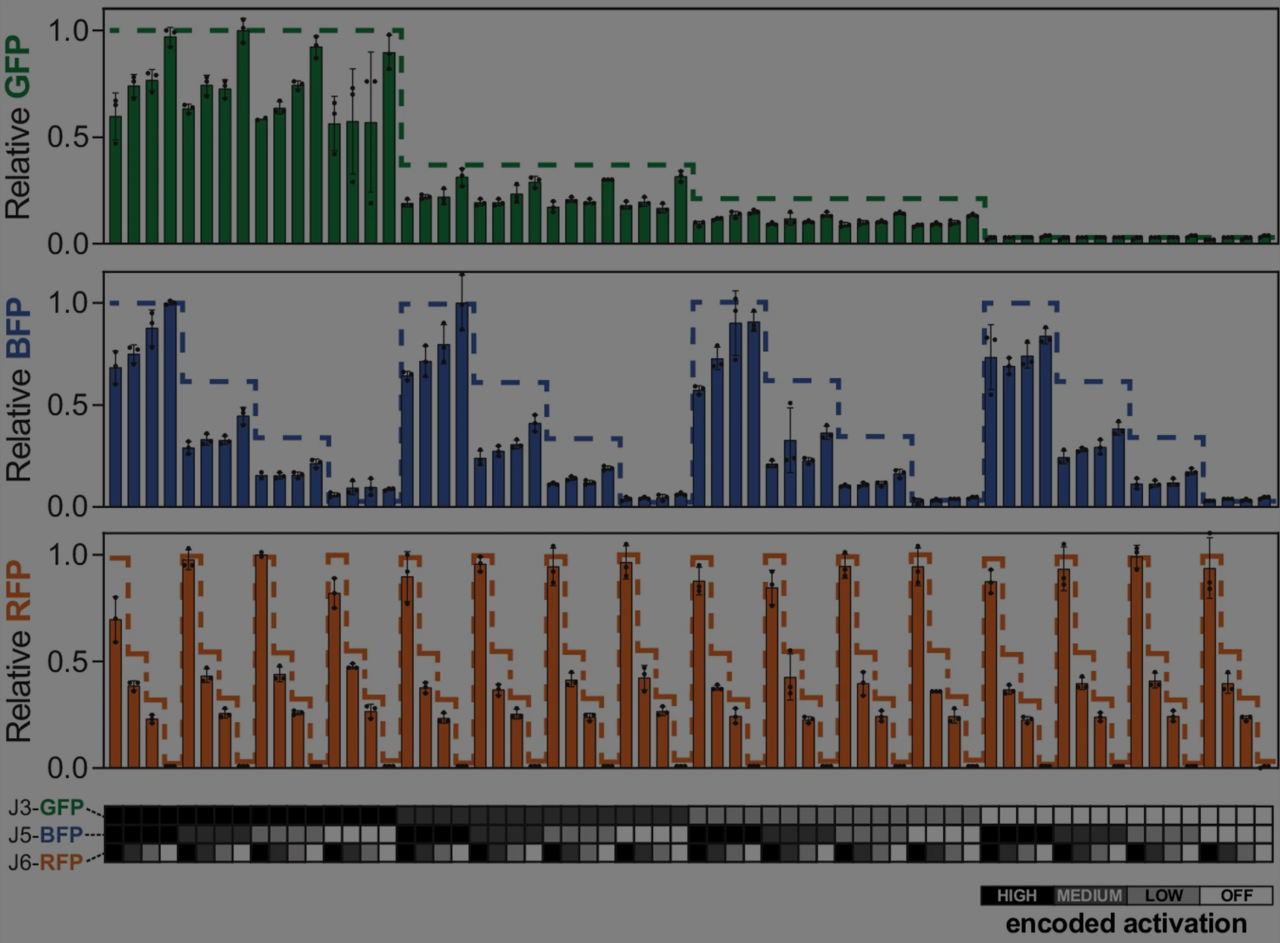 How smarter guide RNA design boosted bacterial production of useful chemicals