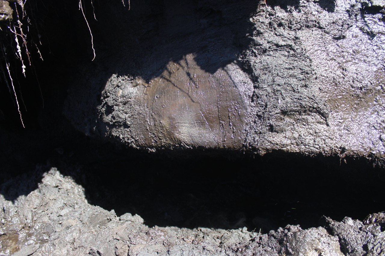 Metagenomic insights into microbial community structure and metabolism in alpine permafrost on the Tibetan Plateau