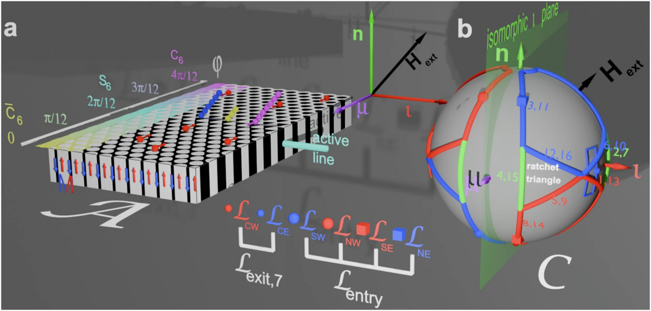 Growth control of microscopic bipeds using magnetic loops