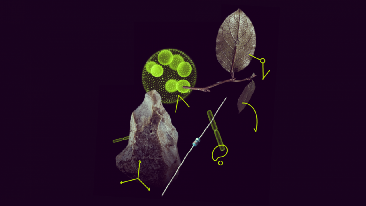 MSCA: €404.3 million call for Postdoctoral Fellowships