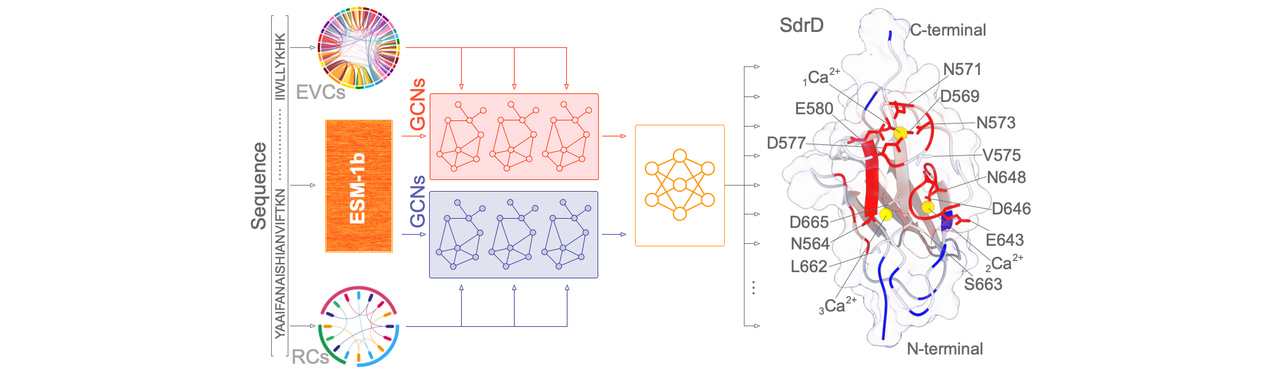 Physics-informed machine learning predicts protein function