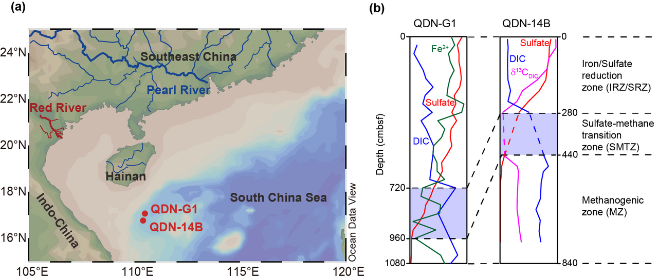 The dynamic cycling of iron-bound organic carbon in subseafloor marine sediments