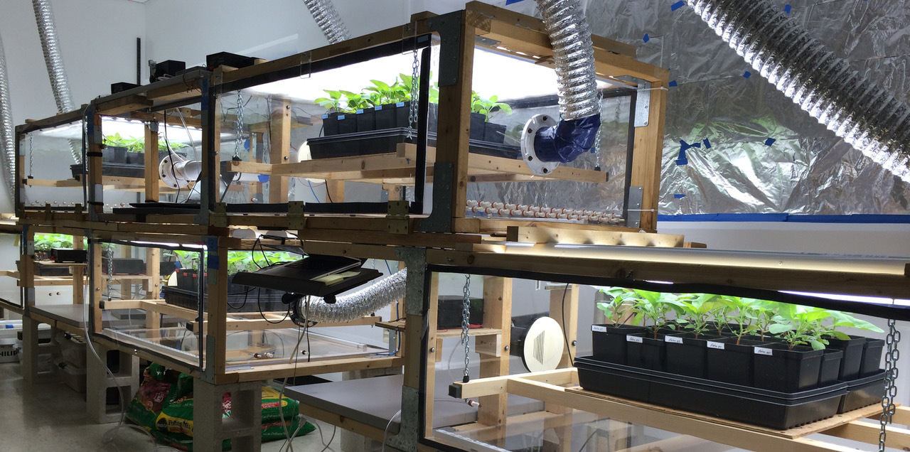 What controls the carbon isotope value of plants? Settling a forty-year debate.