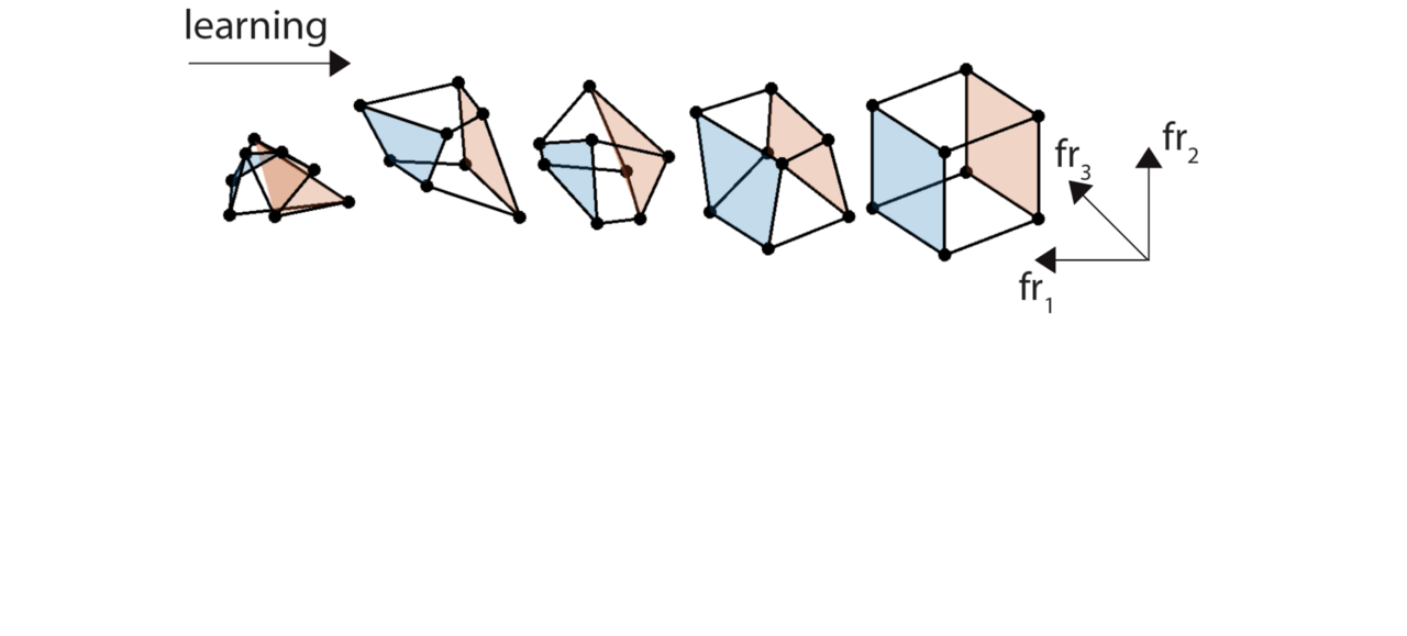 The shape of our thoughts: what does geometry have to do with abstract reasoning?