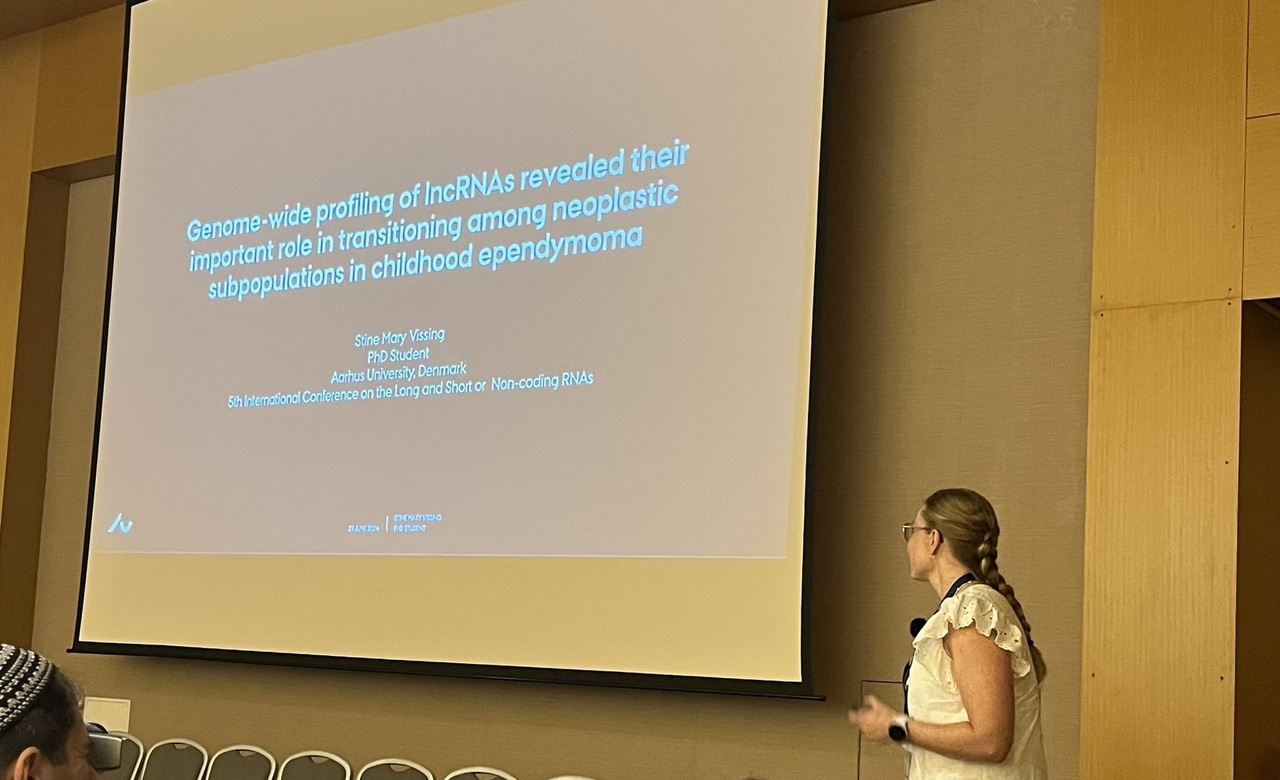 Attending the Long and the Short of Non-Coding RNAs course