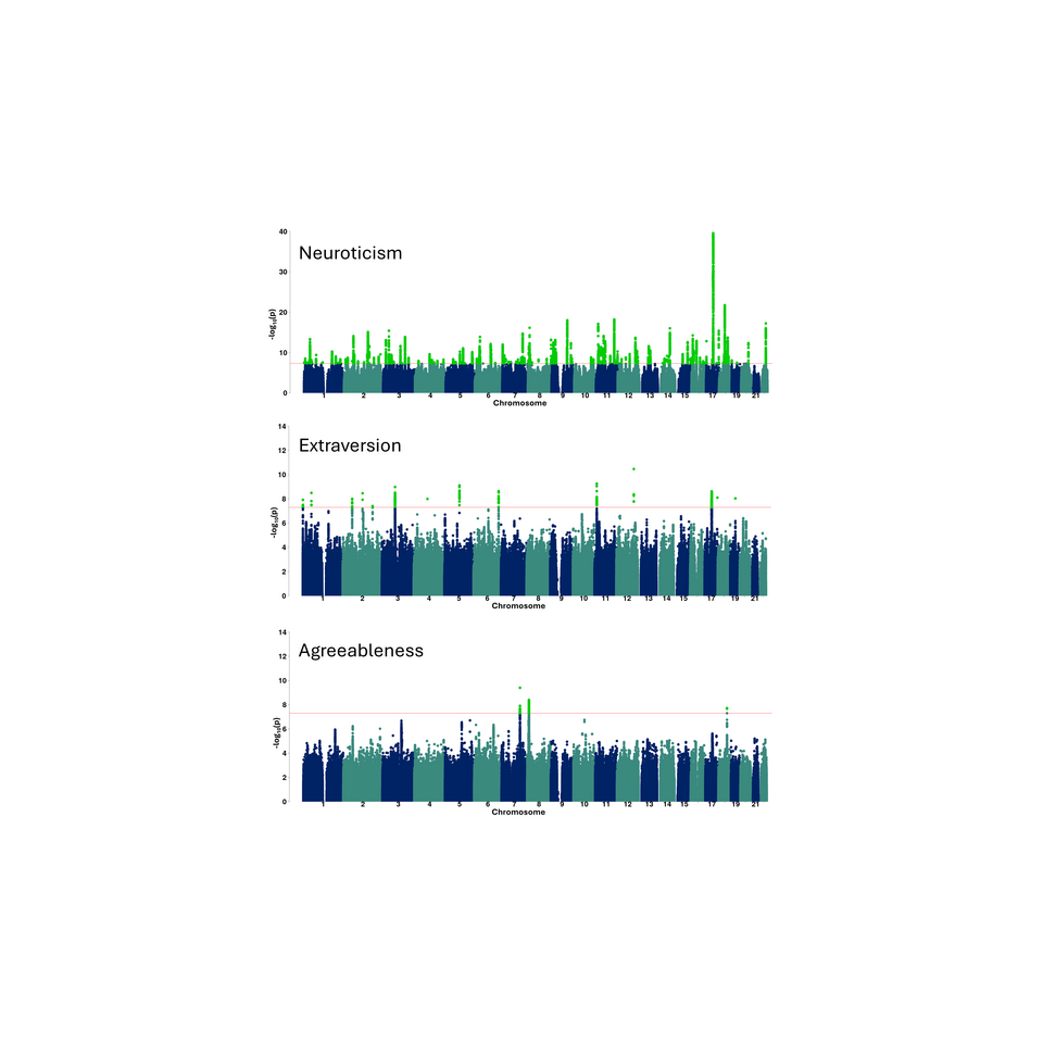 A genome-wide investigation into the underlying genetic architecture of personality traits and overlap with psychopathology