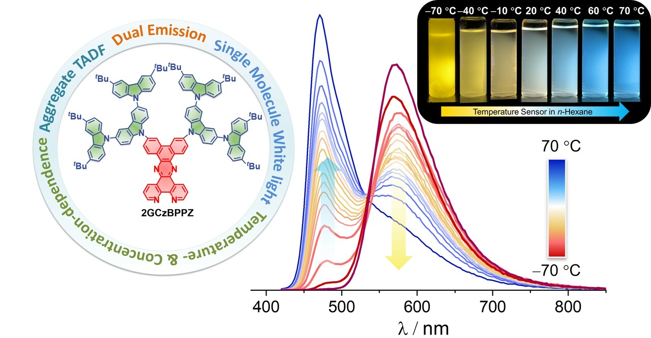 A Temperature Sensor with a Wide Spectral Range Based on a Dual-emissive TADF Dendrimer System