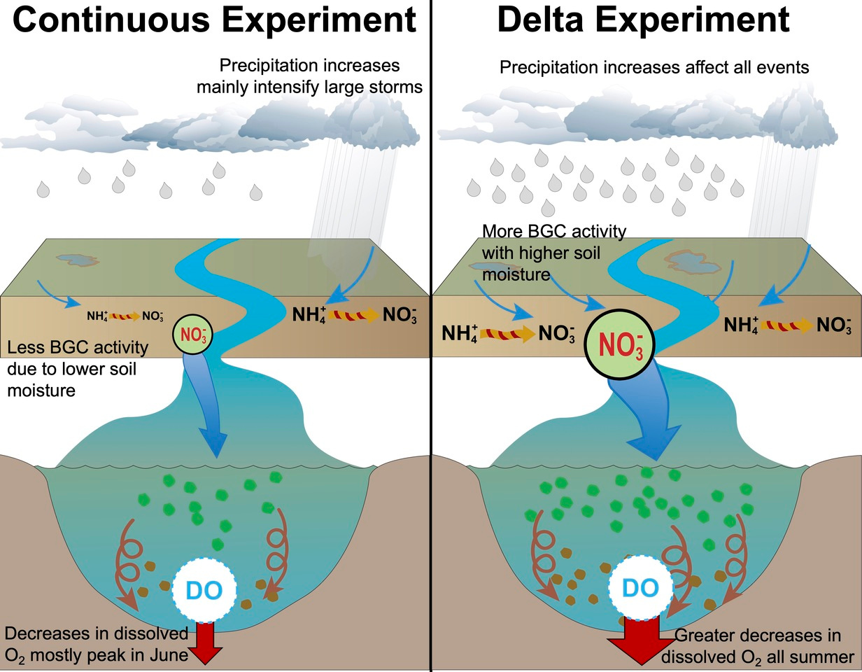 Uncertainties in Future Projections of Coastal Hypoxia