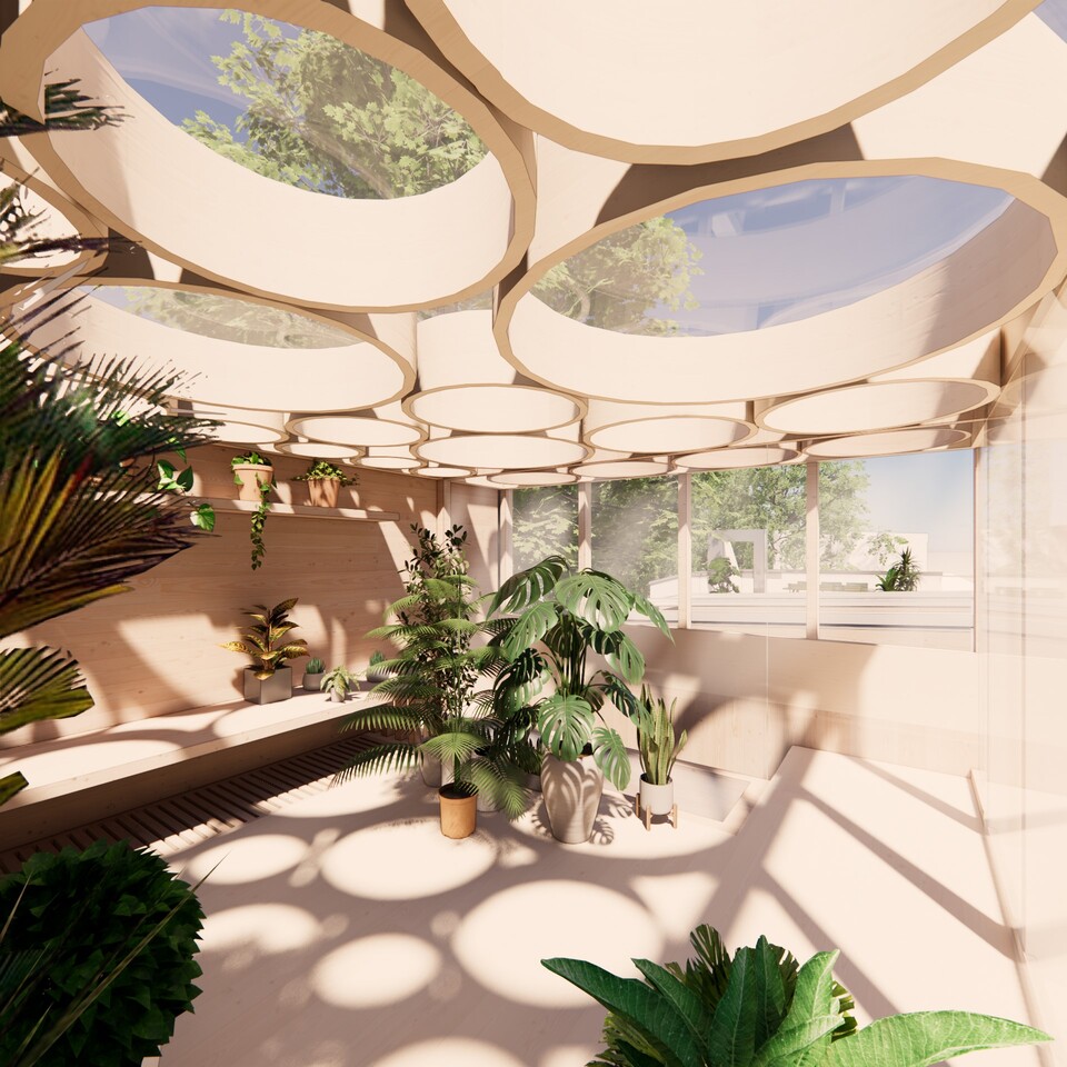 Coffey Architects: Being a good ancestor