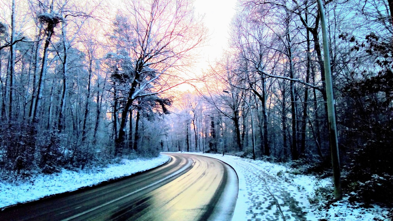 Resilience and the genome: how naturally resilient are we?