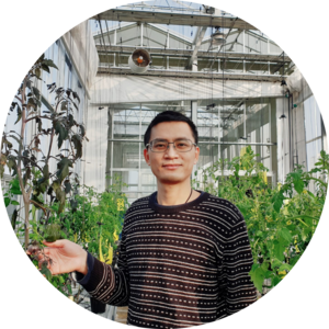 Go to the profile of Tien Van Vu