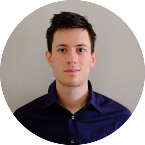 Go to the profile of Matteo Bertesi