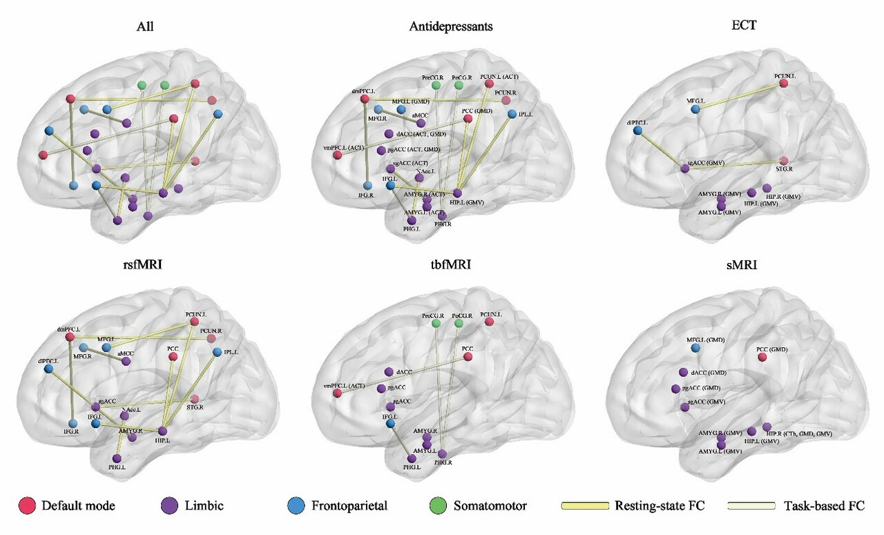 Predicting treatment outcomes in major depressive disorder using brain magnetic resonance imaging: a meta-analysis