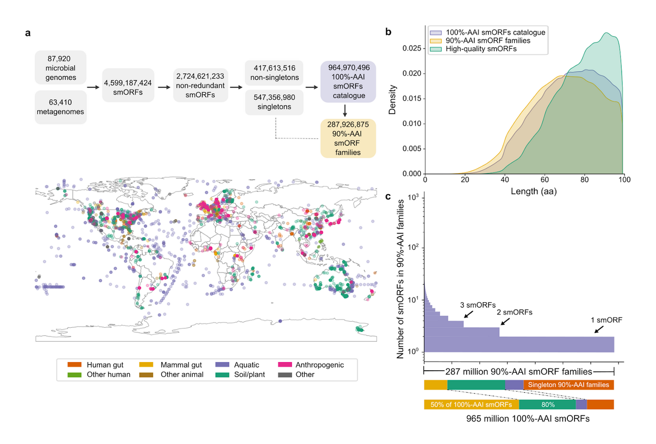 Small proteins - big potential, the global microbial small ORFs catalog