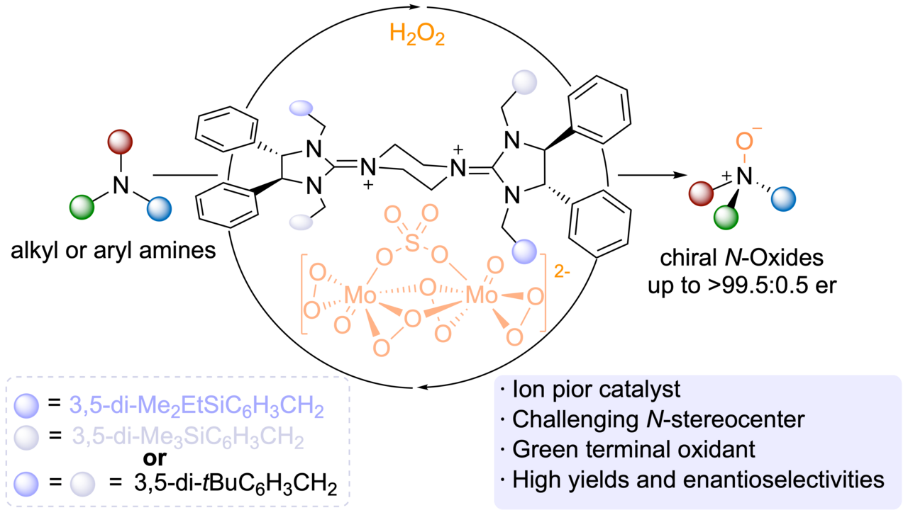 Advancing Asymmetric N-Oxidation: A Breakthrough in Catalytic Synthesis