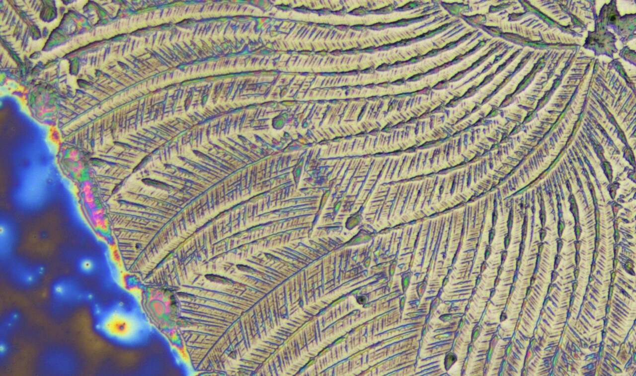 Chirality Hierarchical Transfer in Homochiral Polymer Crystallization Under High-pressure CO2
