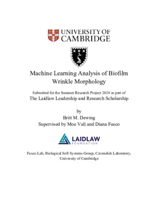 Machine Learning Analysis of Biofilm Wrinkles