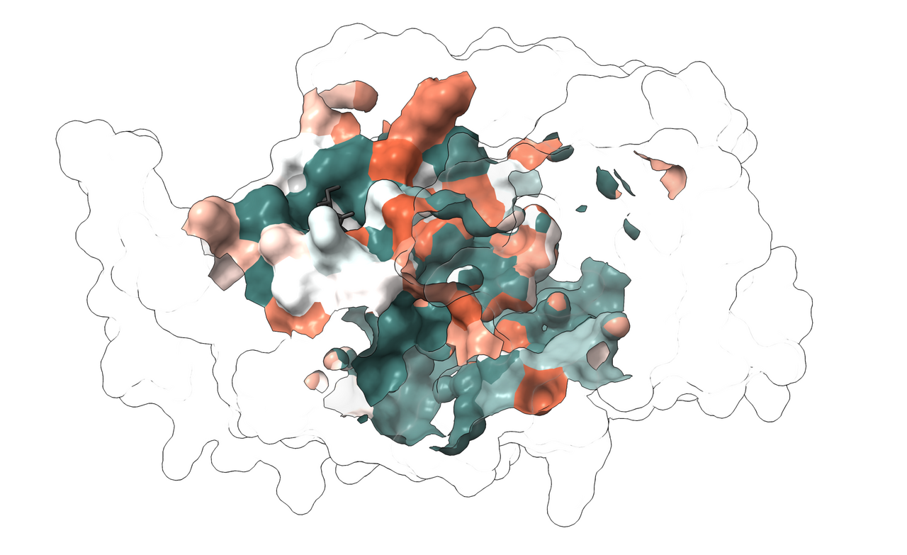 The best of both worlds for Candida albicans: pan-azole antifungal resistance can be cost-free