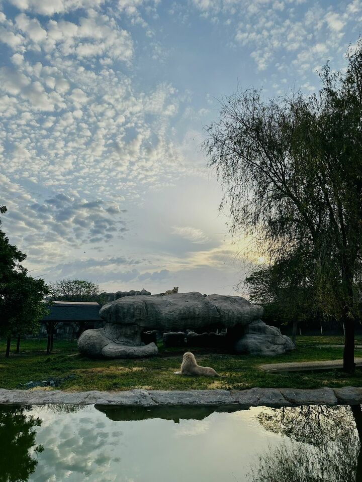 hello, i'm Tom Henry